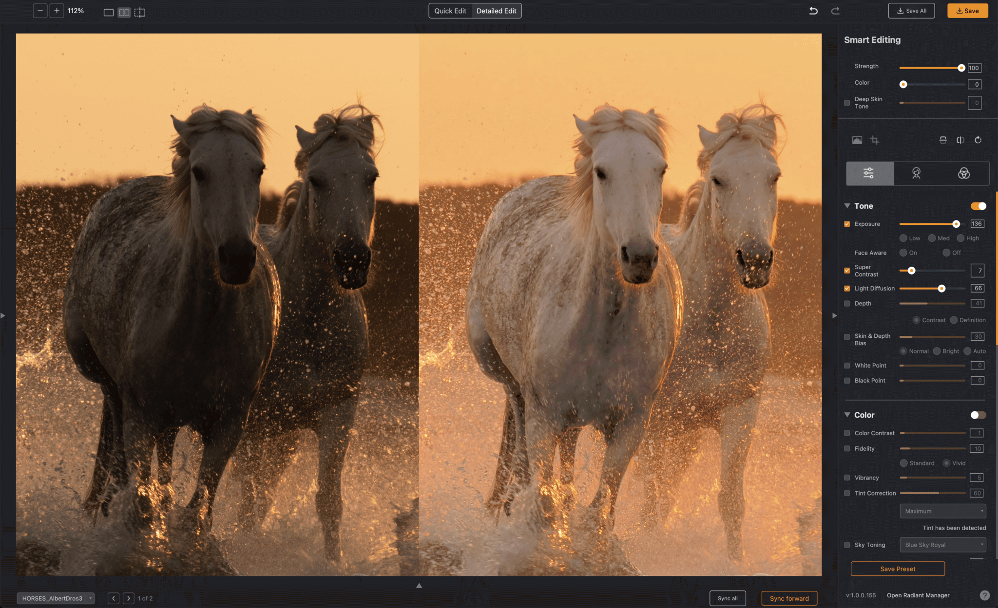 This image by Dutch pro photographer Albert Dros shows how Radiant Photo deals with a backlit image, preserving the highlights and bringing out a wealth of details from the shadows.